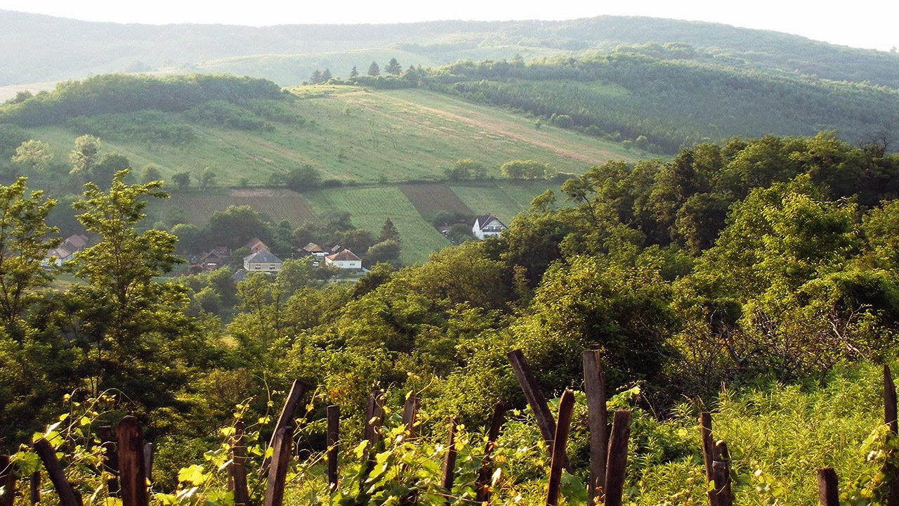 A környéken annyi a domb, mint máshol a síkság!