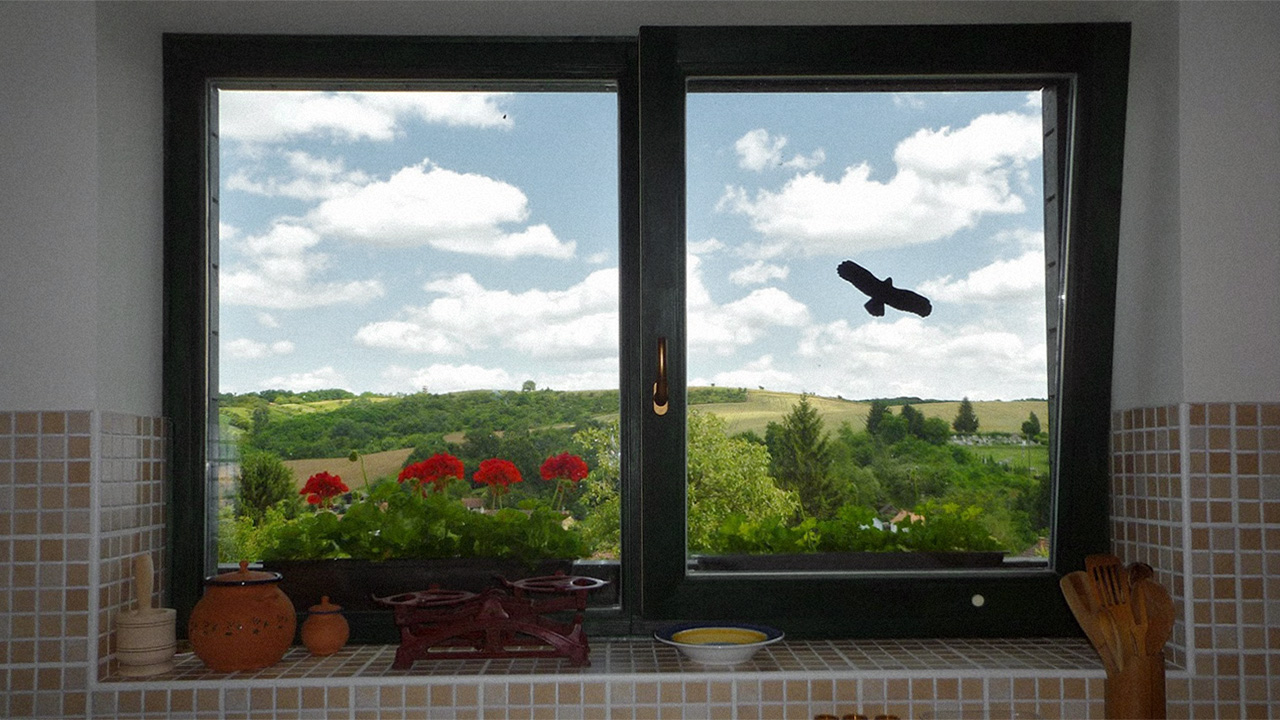 A konyhát átalakítjuk madárlessé, és már jöhetnek is a természetfotósok. :)